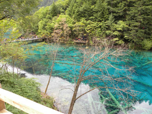 成都至九寨沟旅游价格,成都至九寨沟旅游价格的探讨