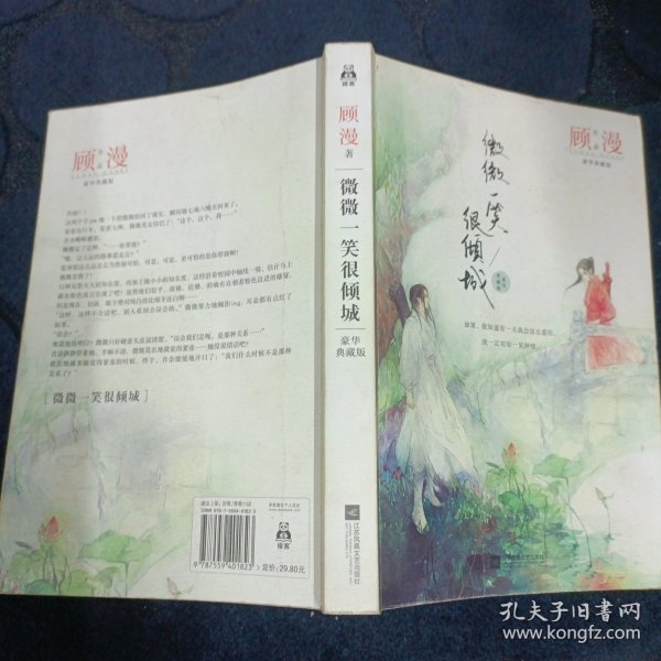 顾漫2017年新作小说，深度解析与影响力探讨