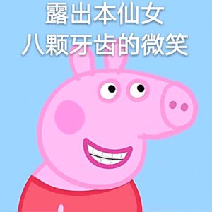 胖丁新动态，探索胖丁的蜕变之旅
