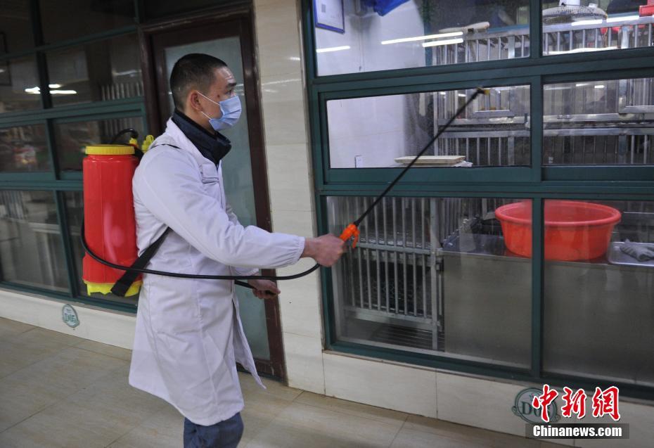 四川H7N9疫情最新动态下的美食秘境探索，小巷特色小店探秘