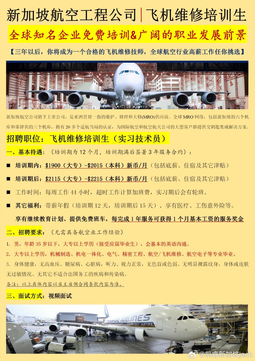新加坡航空招聘最新动态，探索小巷深处的航空梦与独特小店之旅