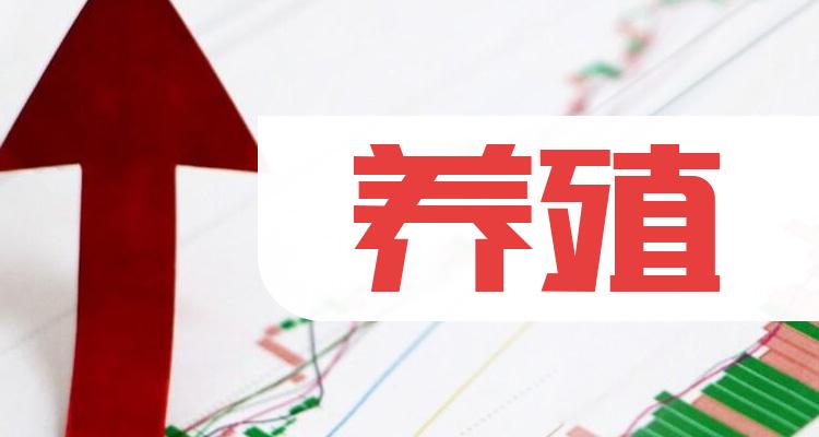 正邦科技崛起，科技巨头的影响力与最新动态